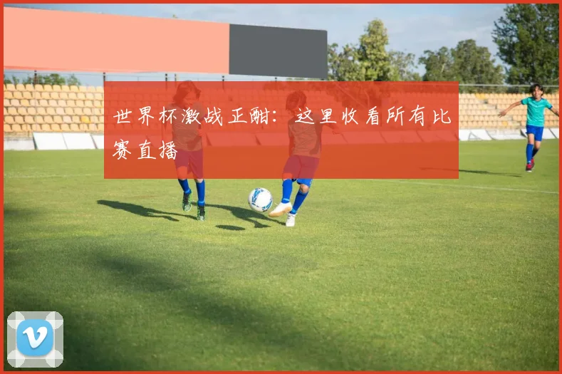 世界杯激战正酣：这里收看所有比赛直播