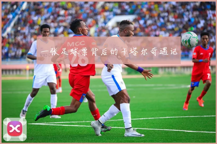一张足球票背后的卡塔尔奇遇记