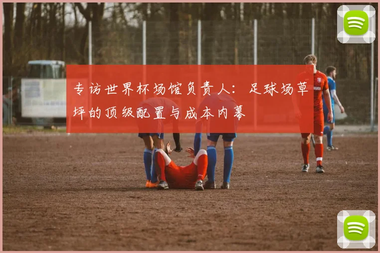 专访世界杯场馆负责人：足球场草坪的顶级配置与成本内幕