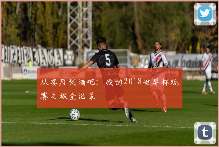 从客厅到酒吧：我的2018世界杯观赛之旅全记录
