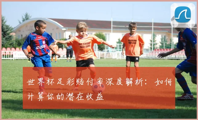 世界杯足彩赔付率深度解析：如何计算你的潜在收益