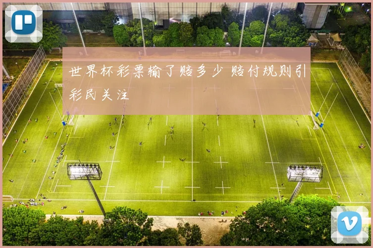 世界杯彩票输了赔多少 赔付规则引彩民关注