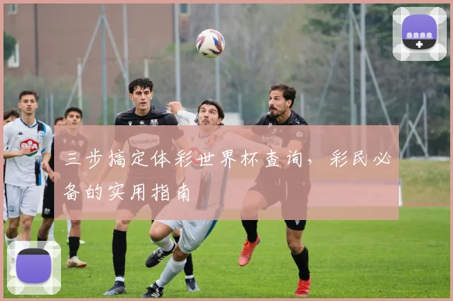 三步搞定体彩世界杯查询,彩民必备的实用指南