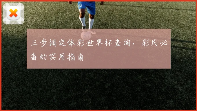三步搞定体彩世界杯查询,彩民必备的实用指南