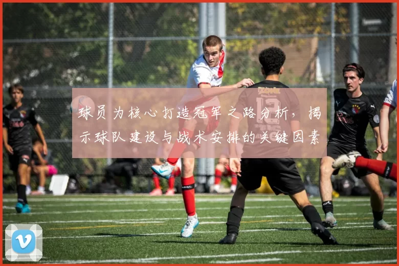 球员为核心打造冠军之路分析，揭示球队建设与战术安排的关键因素