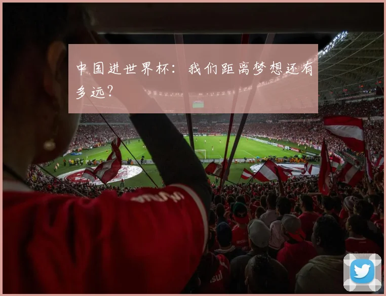中国进世界杯：我们距离梦想还有多远？