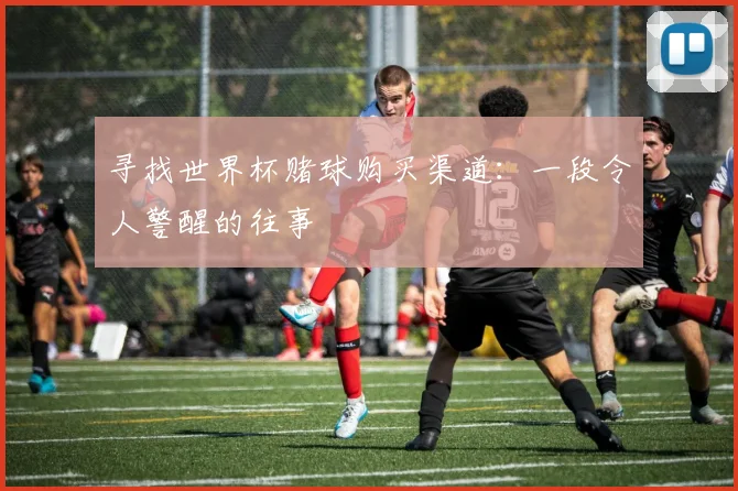 寻找世界杯赌球购买渠道：一段令人警醒的往事