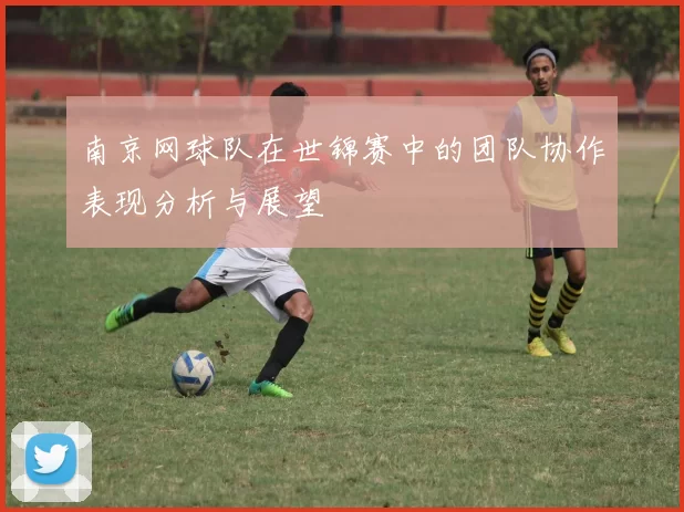 南京网球队在世锦赛中的团队协作表现分析与展望