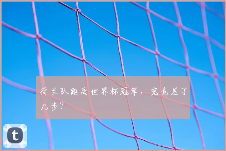 荷兰队距离世界杯冠军，究竟差了几步？