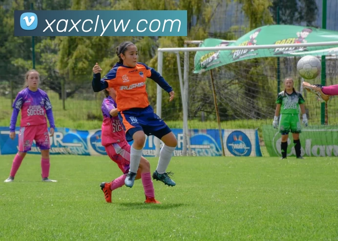 爱游戏官网平台生态图